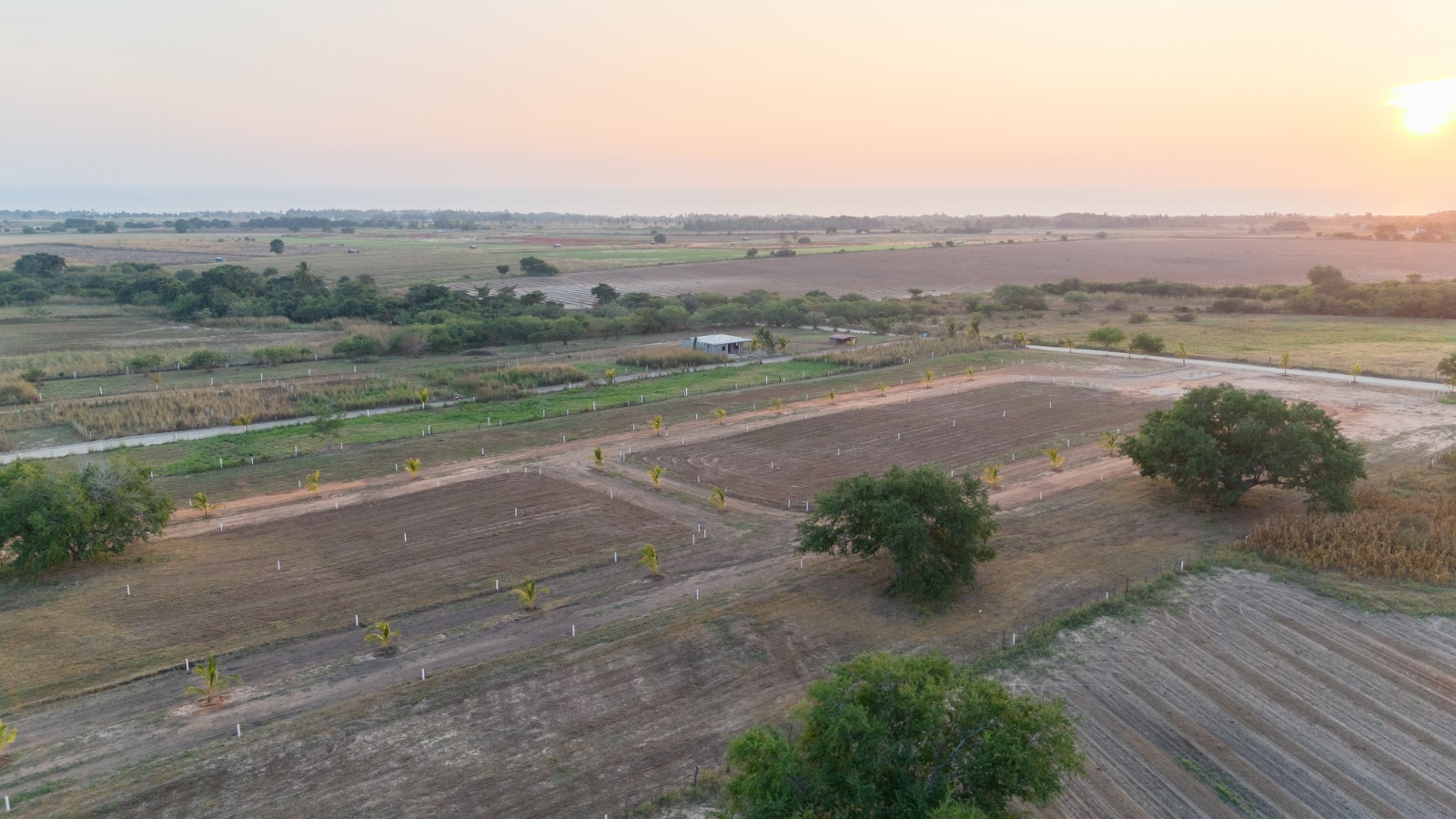 TERRENOS EN VENTA EN PUERTECITO, PUERTO ESCONDIDO , OAXACA